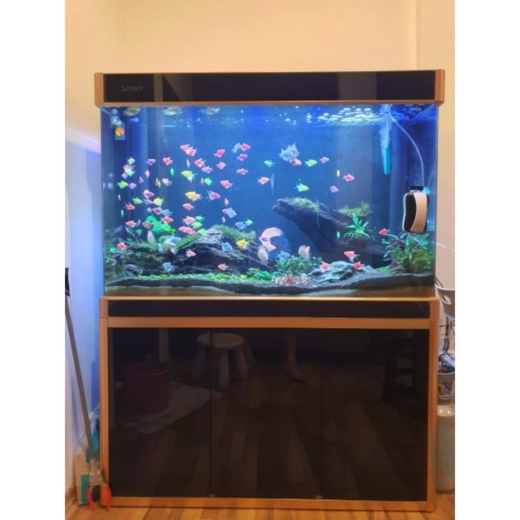4 Feet Aquarium