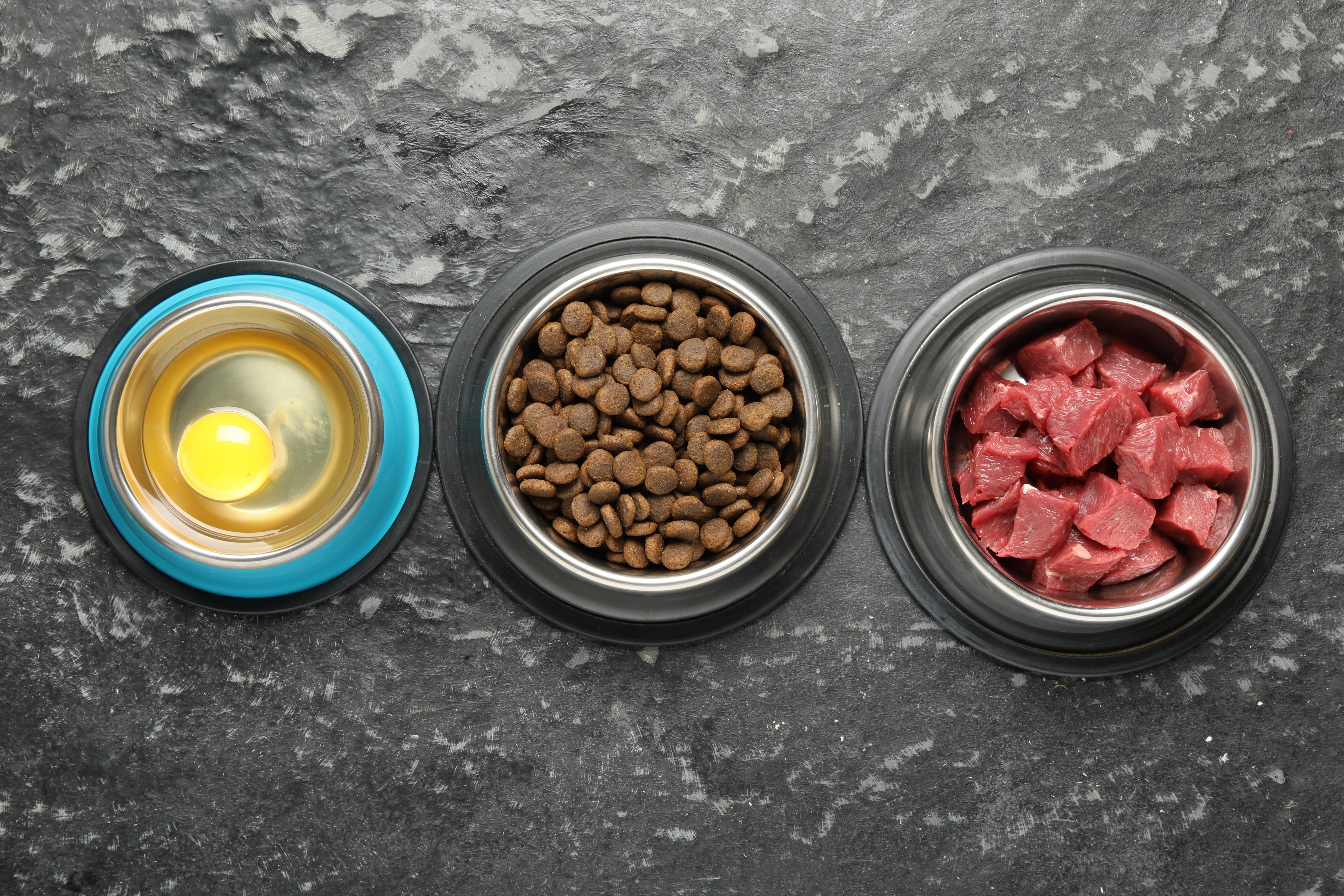 Pet food and nutrition