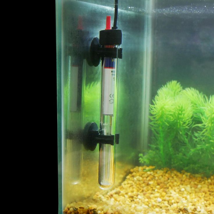 Aquarium Heater